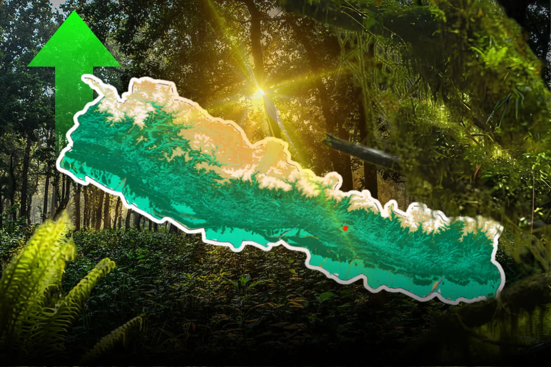 Forests in Nepal