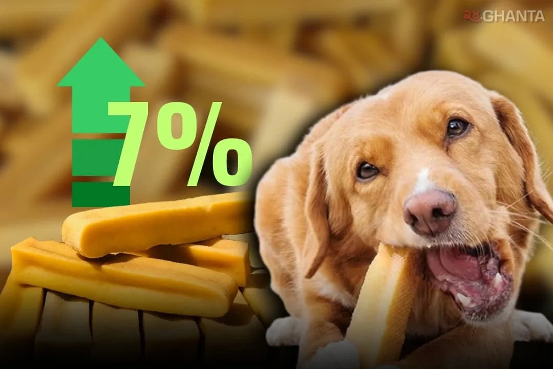 Nepal's dog chew industry