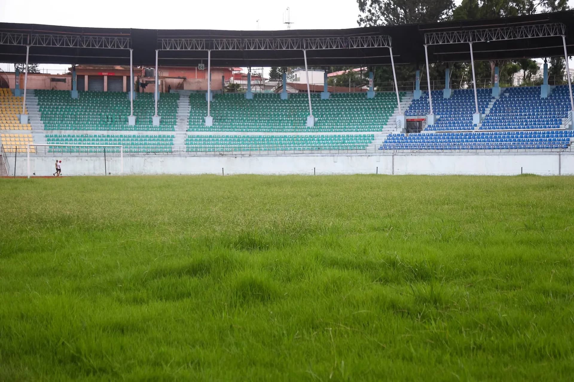 Dasharath Rangasala's Overgrown Pitch